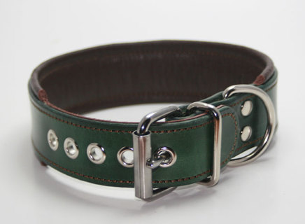 Green and brown dog collar