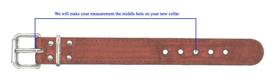 Collar Measurement